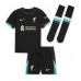 Maillot de foot Liverpool Federico Chiesa #14 Extérieur vêtements enfant 2024-25 Manches Courtes (+ pantalon court)